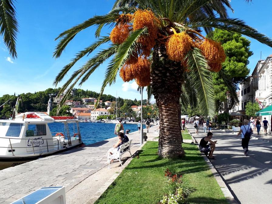 Apartments Rilovic, City And Sea View Apartments Cavtat Exteriör bild