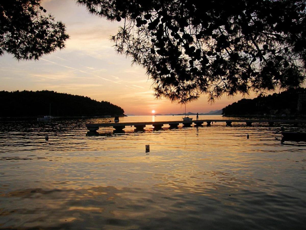 Apartments Rilovic, City And Sea View Apartments Cavtat Exteriör bild